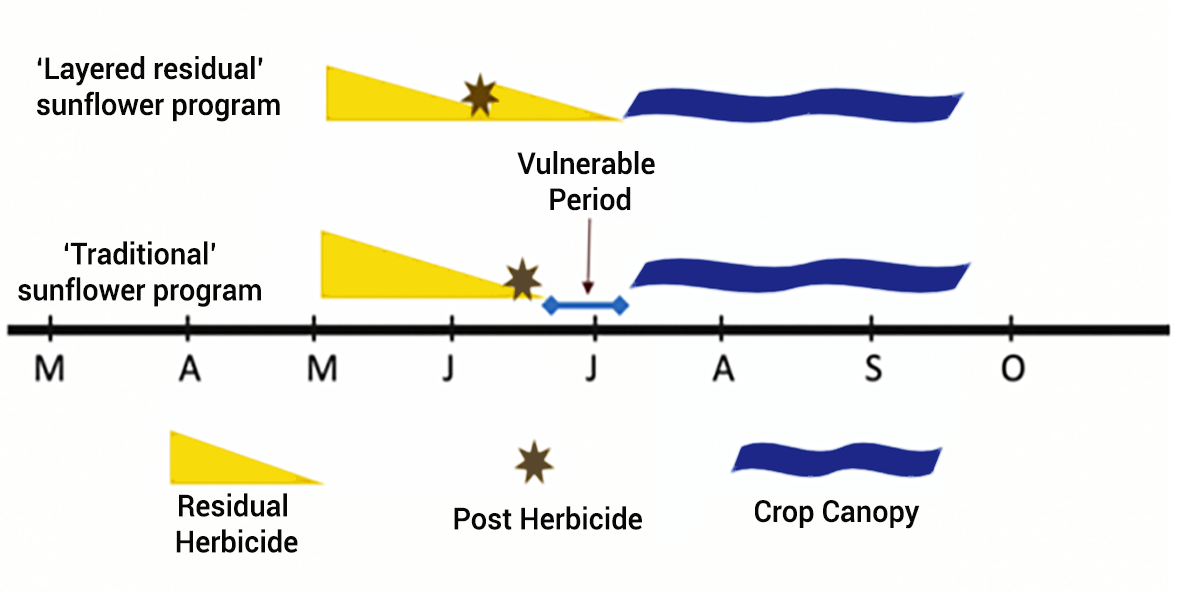 A figure depicting the difference between a layered residual compared to traditional herbicide management strategy using yellow and blue colors on various shapes. For a detailed description, please call SDSU Extension at 605-688-4792.