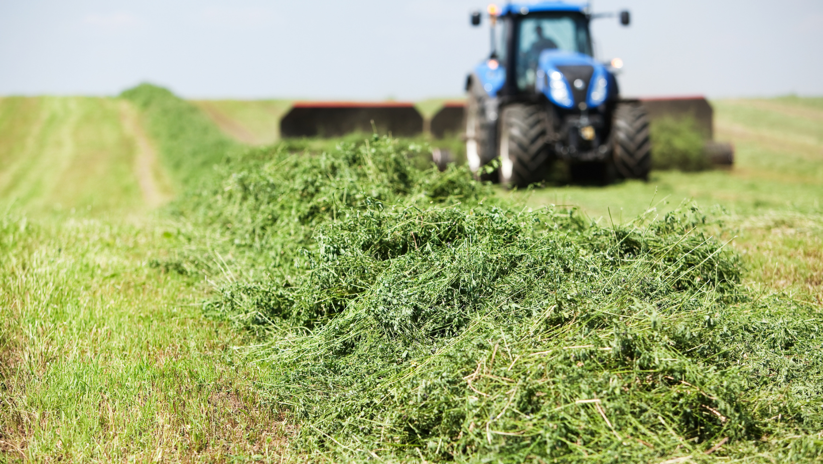 Blue tractor cutting hay