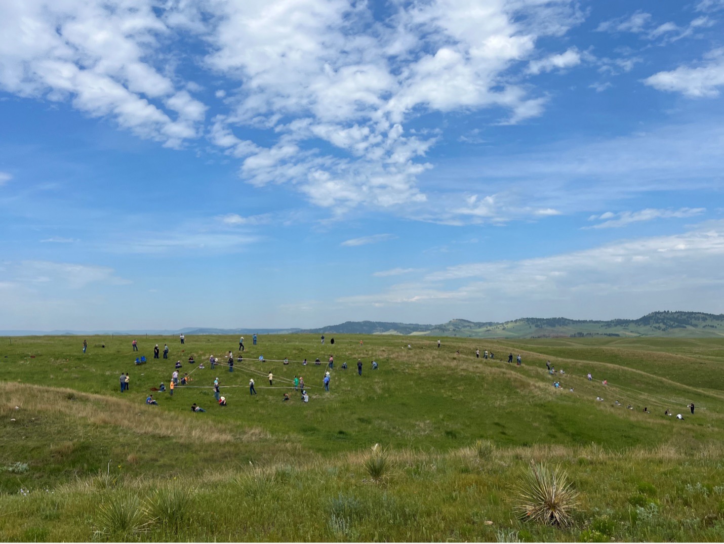 People are seen in the distance in a grassland under a blue sky