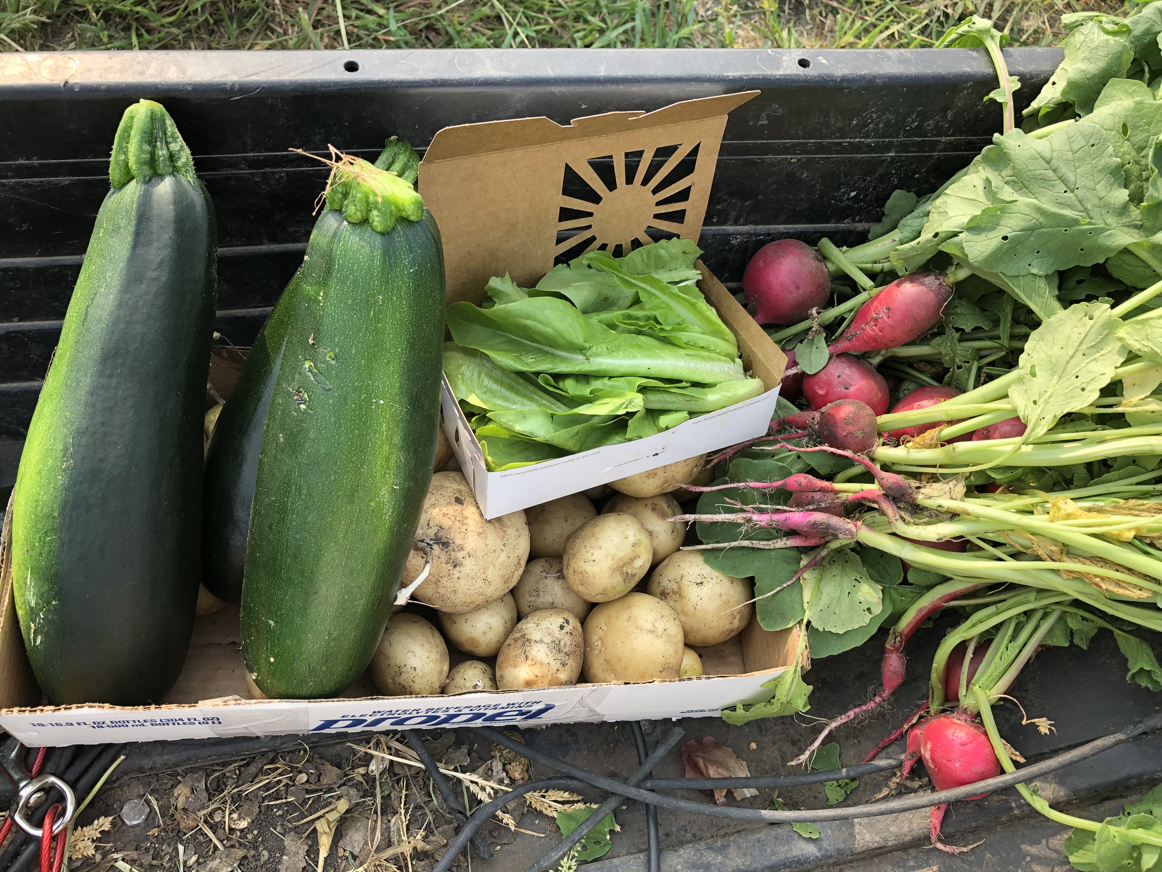 Vegetables are displayed, including zucchini, potatoes and radishes