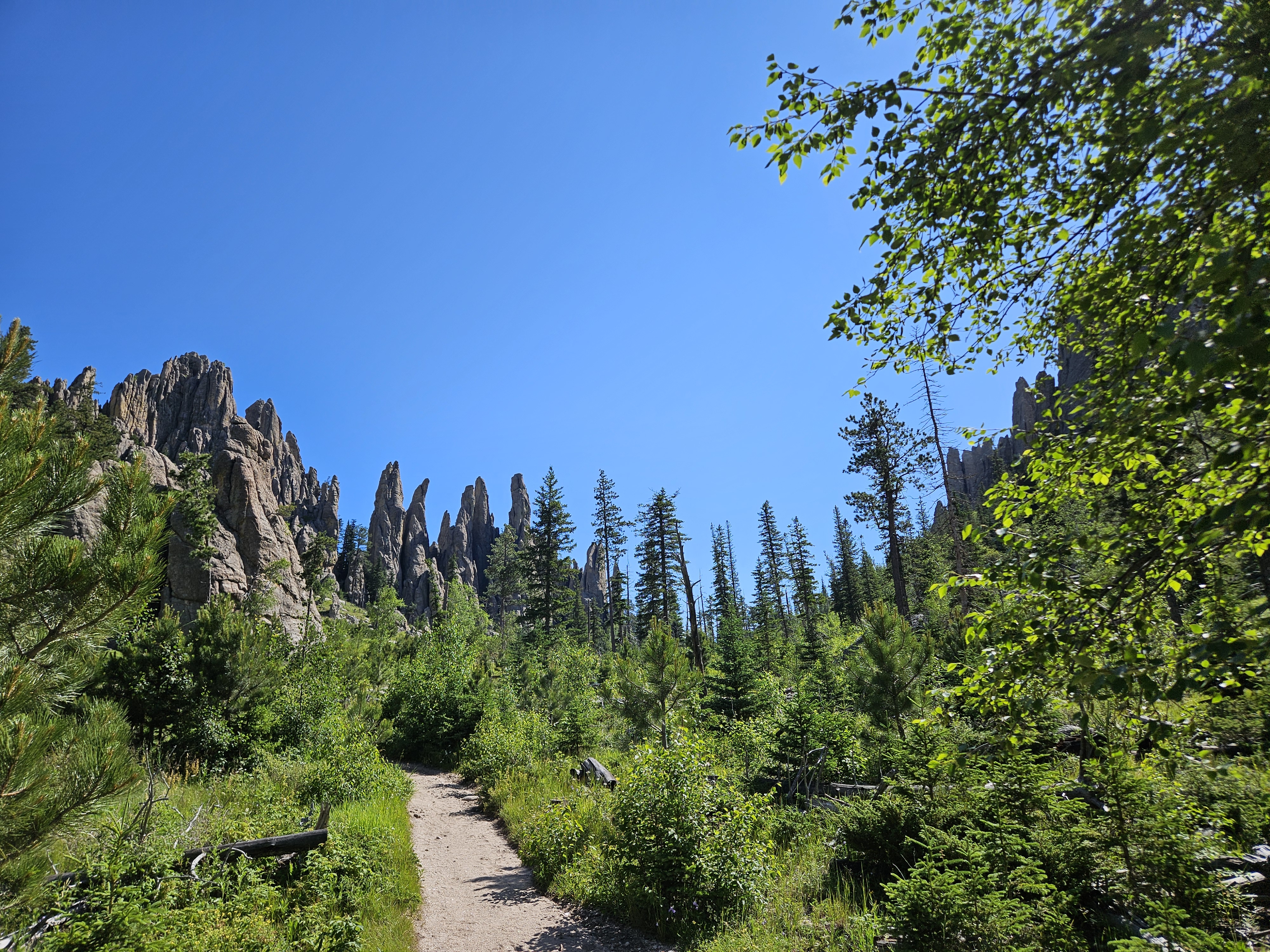 Tree lined hiking trail at Cathedral Spires