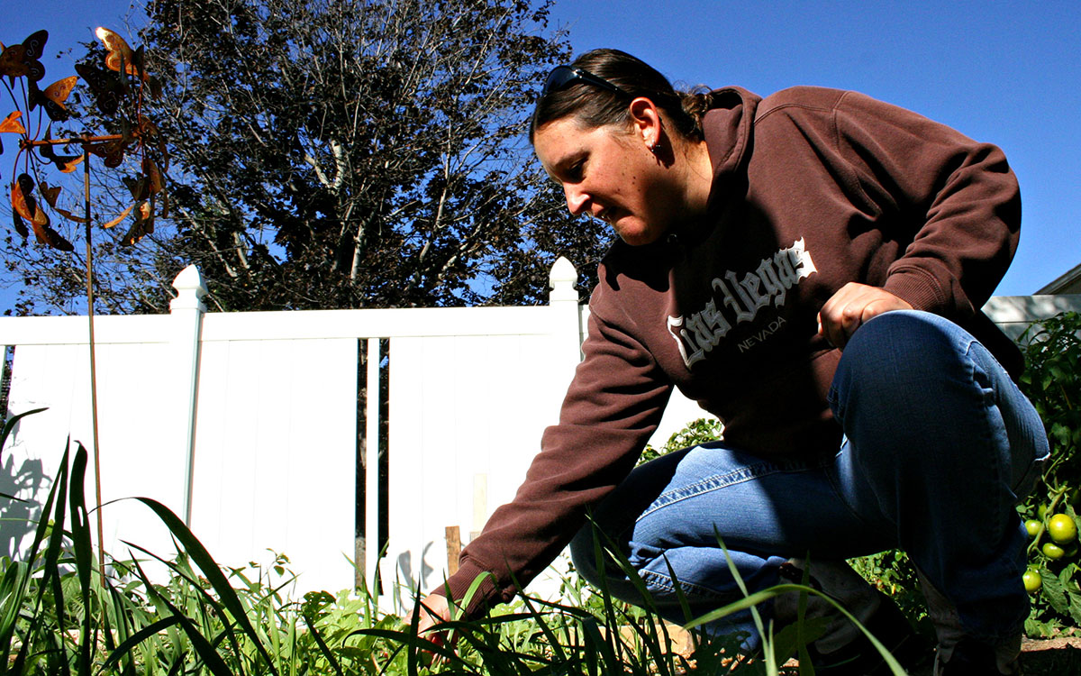 Gardener inspecting soil in a backyard garden plot.