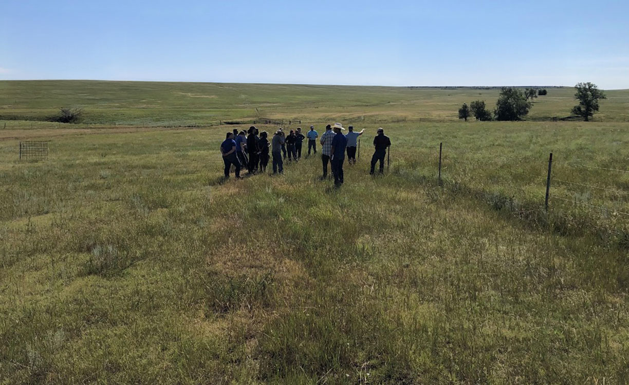 A picture of producers (ranchers) in a rangeland pasture looking into another pasture that has different forage biomass quantities. The