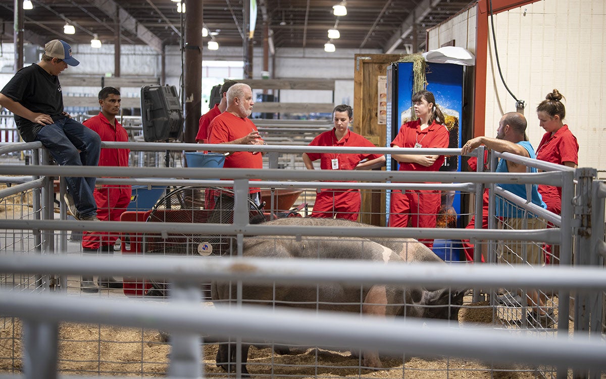 Group of fair attendees having a discussion near an animal pen.