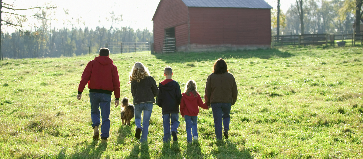 A family of 5 walking on a farm, holding hands