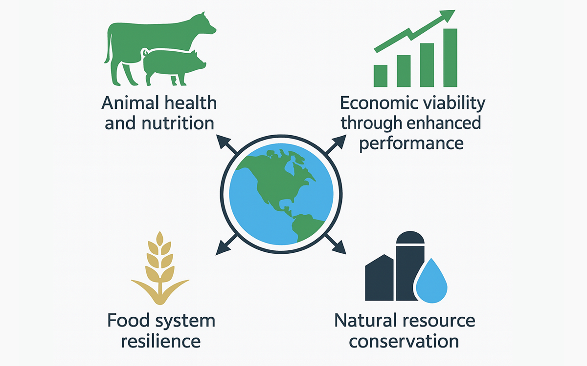 An infographic showing the U.S. producer focused pillars of the National Animal Nutrition Program’s Feed Management committee which includes animal health and nutrition, economic viability through enhanced performance, natural resource conservation, and food system resilience. There are images of a cow and feed, a bar chart with a positive arrow and a money symbol, the Earth and a leaf, and a checklist and water drop and grain bin, which represent the graphical form of the four pillars.