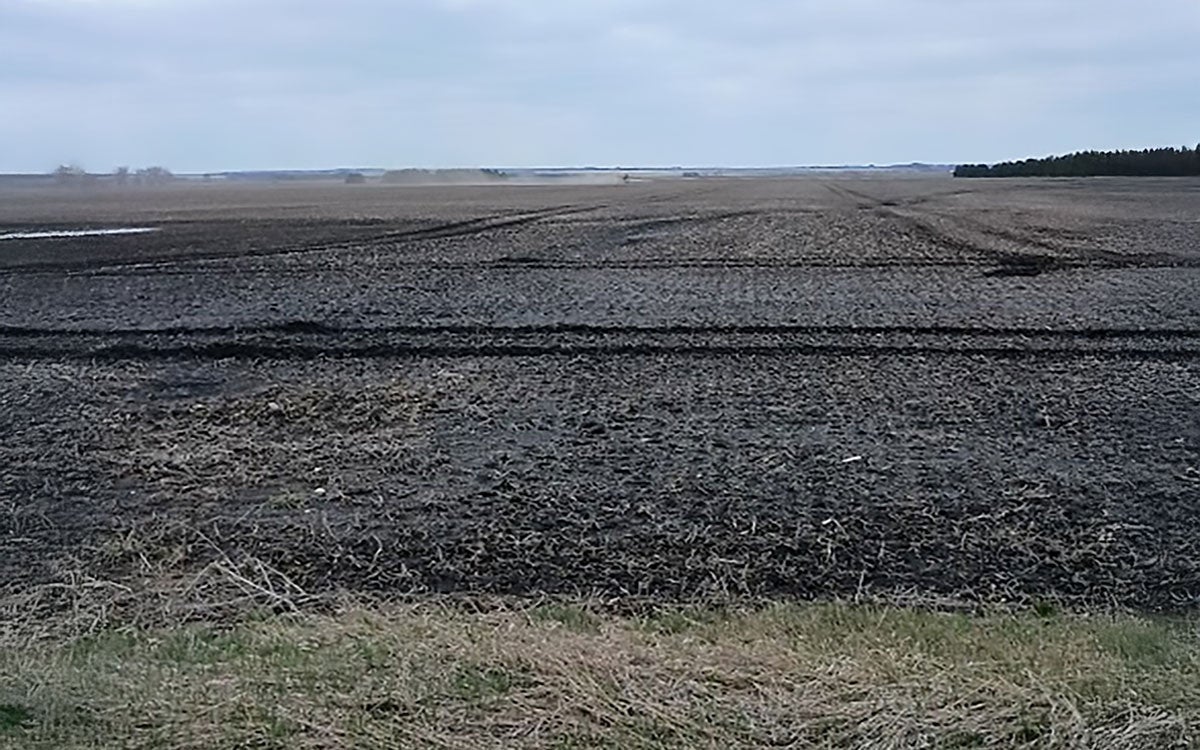 Harvested crop field with deep soil ruts left by equipment tires.