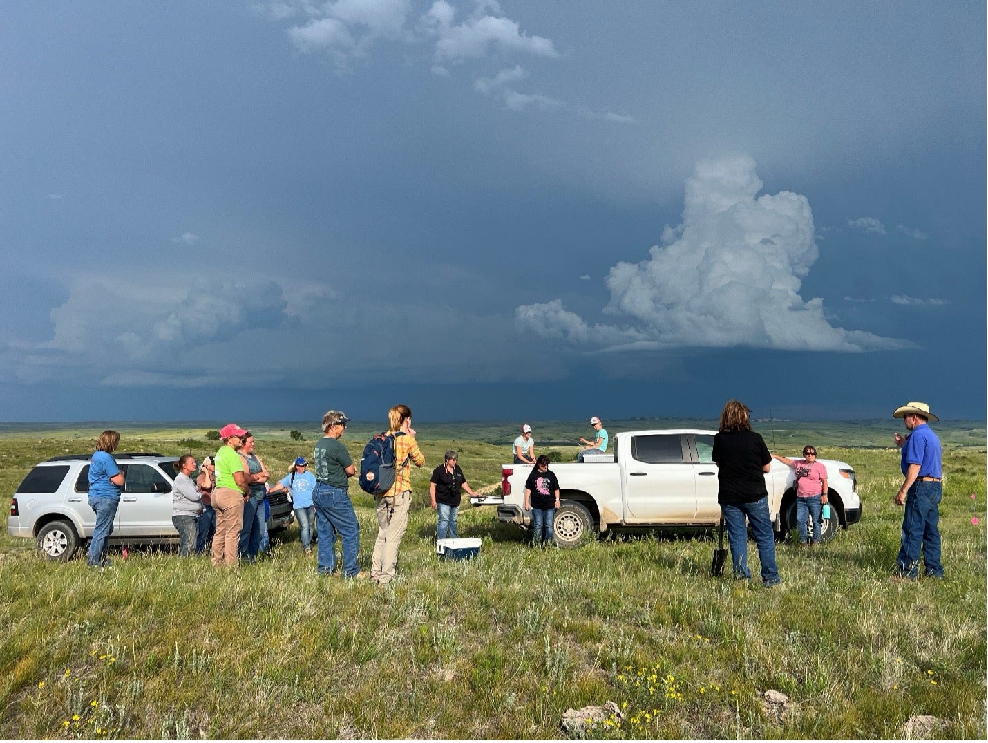Several people stand in a green pasture beside a white pickup and white SUV