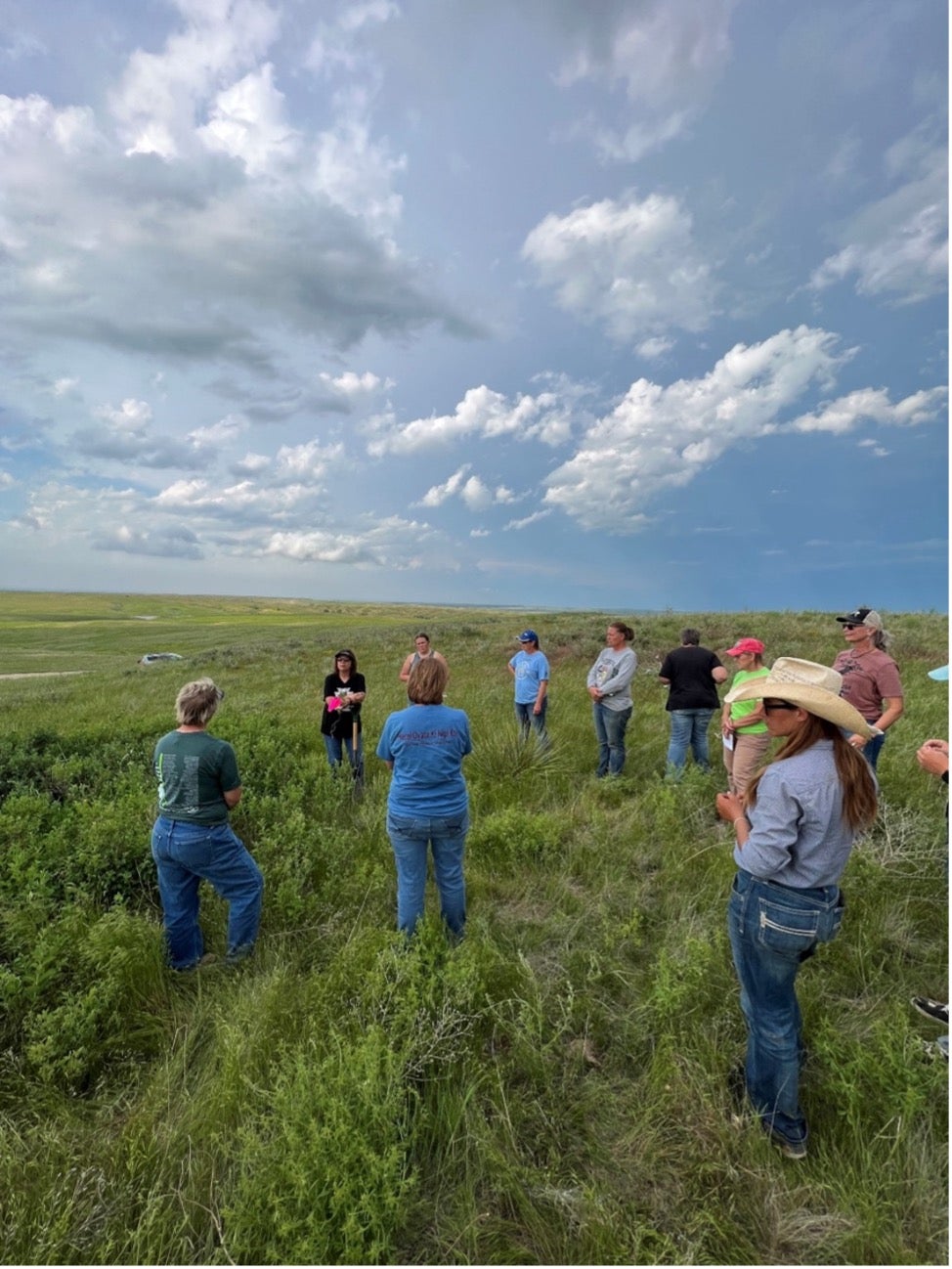 A group of people stands in a green pasture