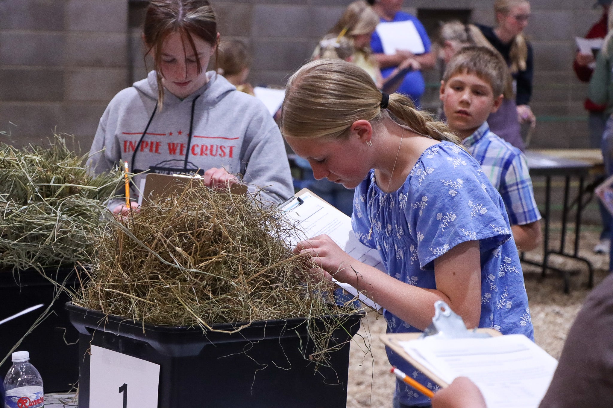 Two girls study hay samples in boxes