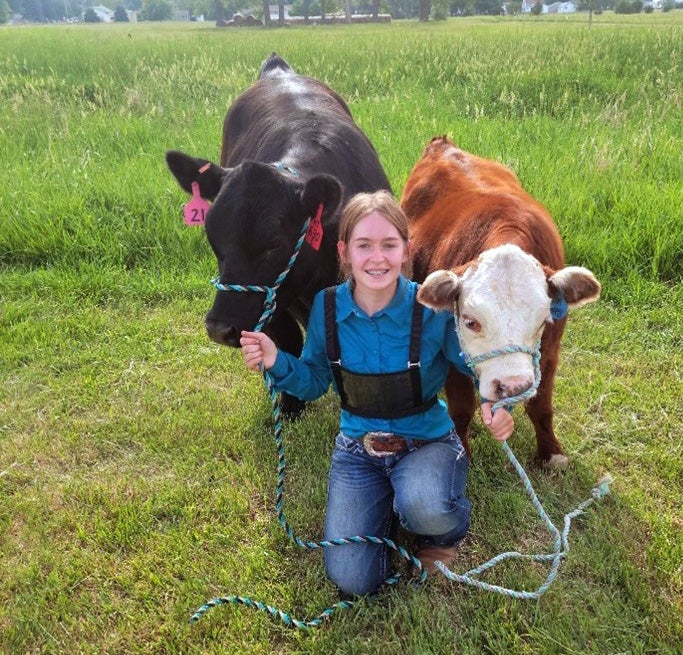 A girl kneels with two calves on lead ropes