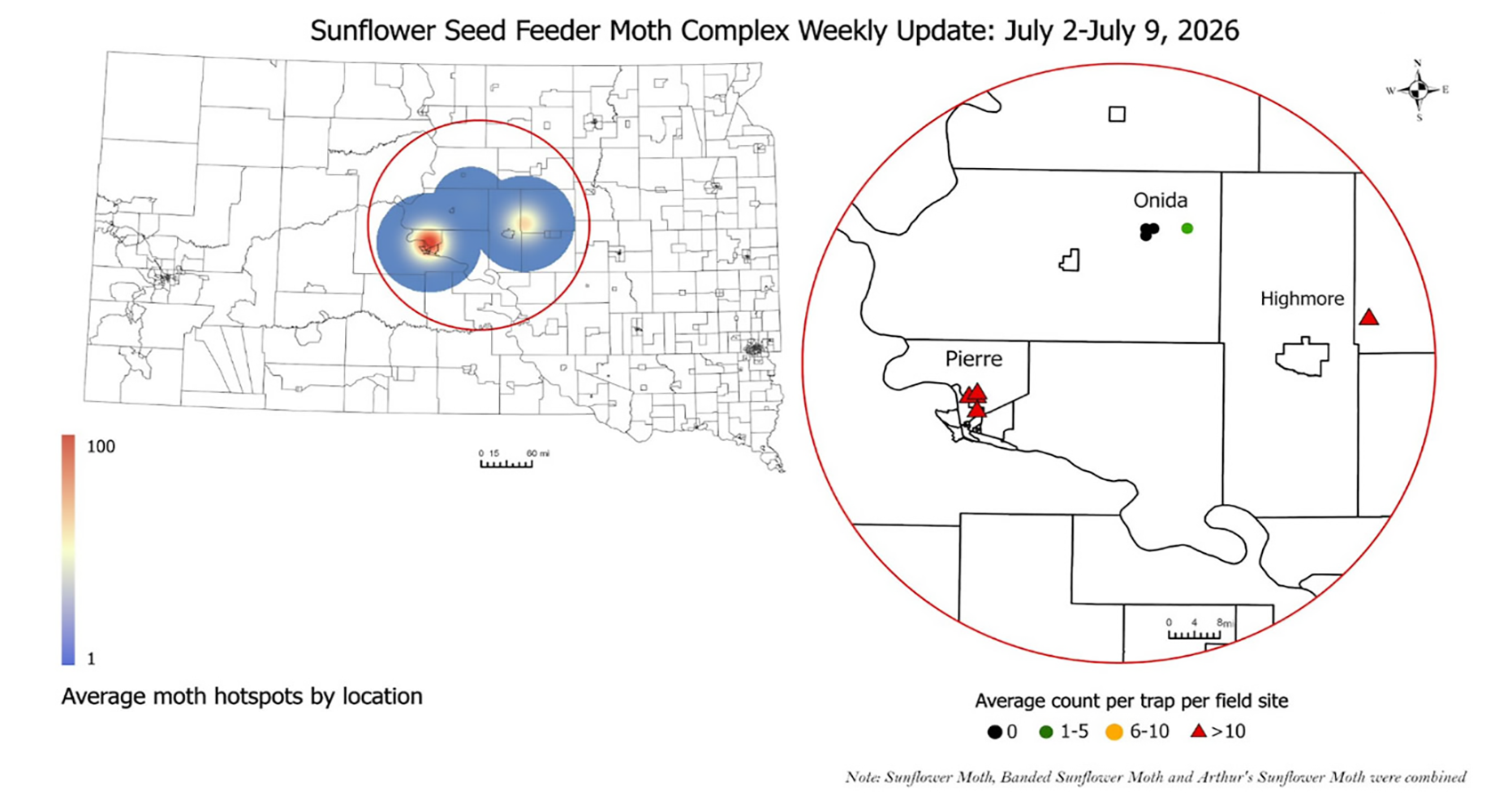 Map of South Dakota with blue circles with light red highlights showing increased pest intensity. Magnified area of highest pest intensity to indicate locations within Hughes and Hyde counties. For a detailed description, please call SDSU Extension at 605-688-4792.