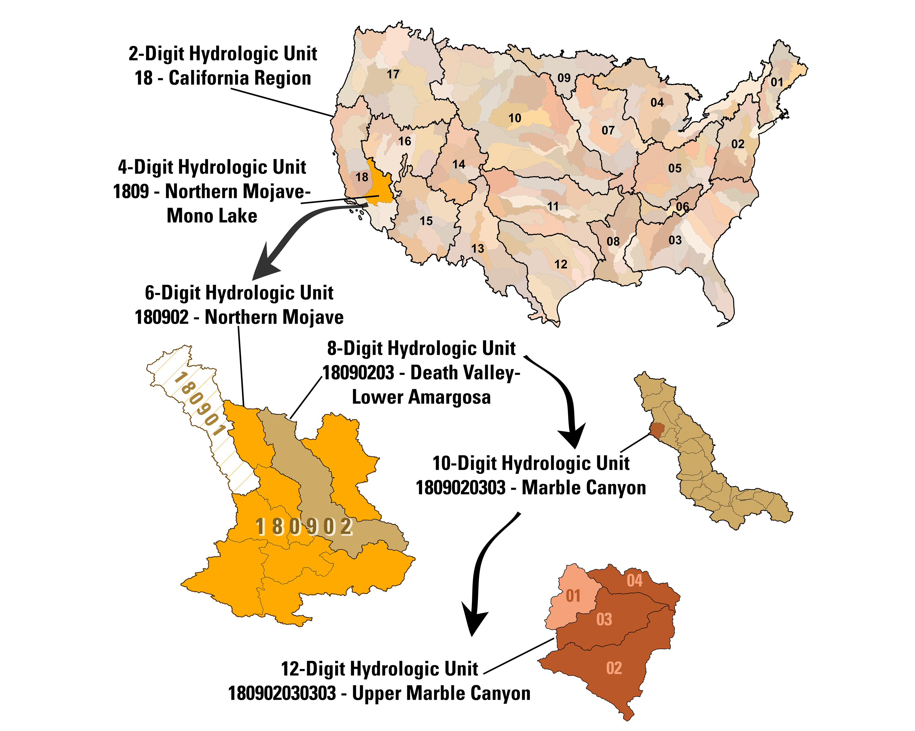 Watershed Boundary Dataset structure visualization. For a complete description of this graphic, please call SDSU Extension at 605-688-4792.