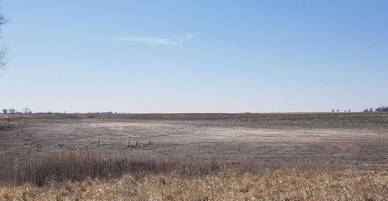 Bare field with visible salt buildup on soil surface.