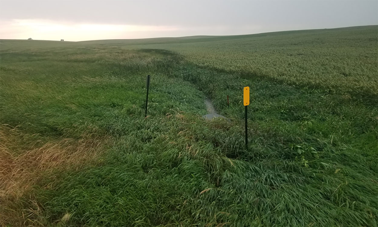 No-till field with cover-crops and a carefully managed waterway running throughout.