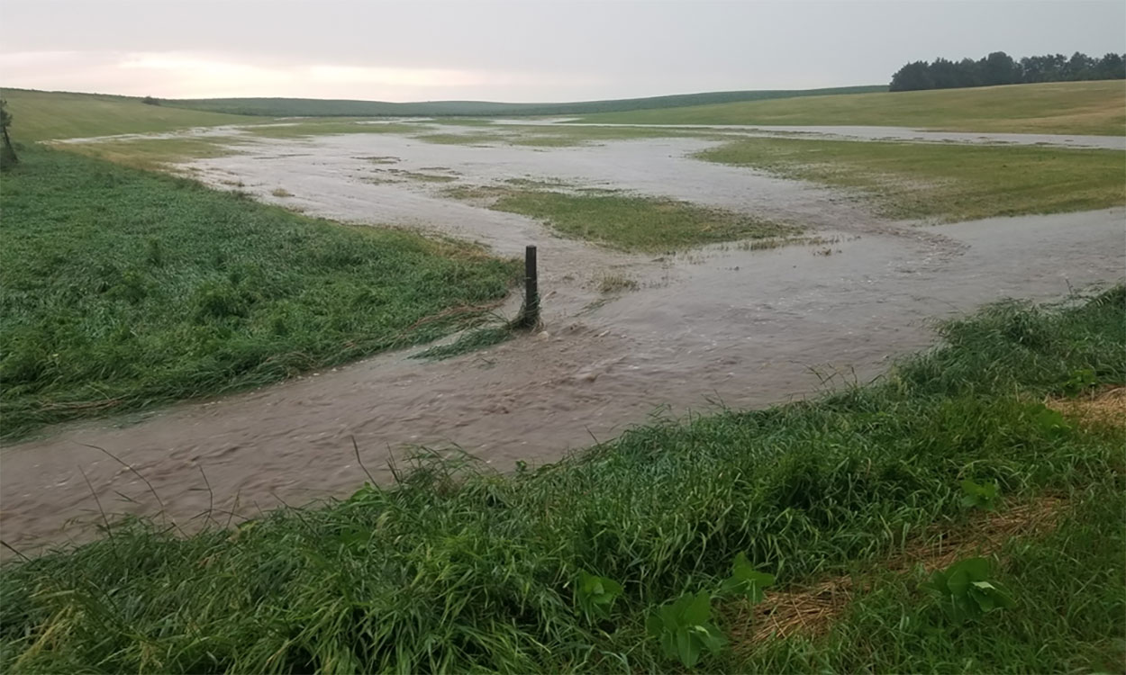 Conventionally managed field with widespread flooding and runoff throughout.