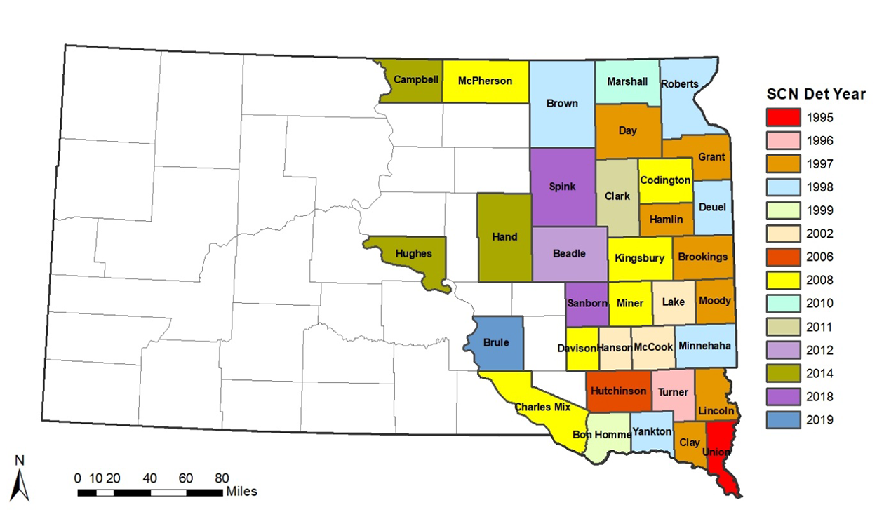 A map of South Dakota counties shaded to indicate the year for which the soybean cyst nematode was detected. For assistance reading this graphic, please call SDSU Extension at 605-688-4792.