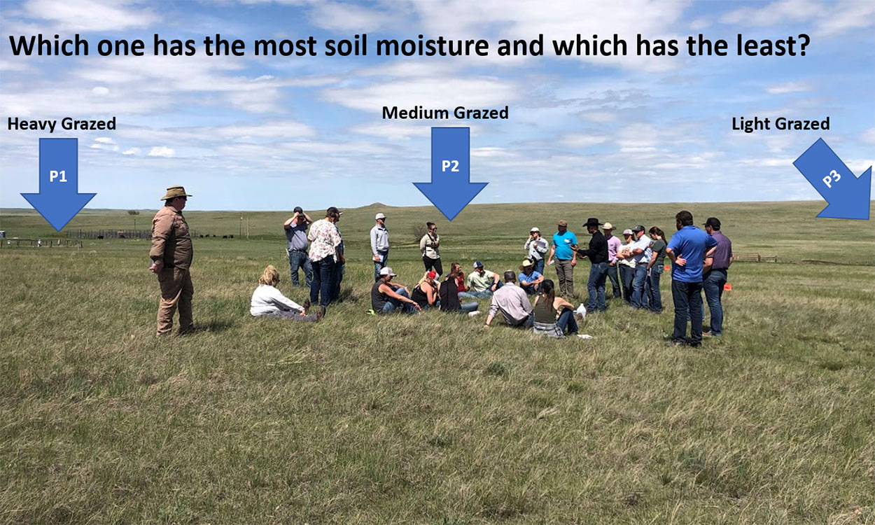 Producers in the field at the SDSU Cottonwood Field Station, looking at differences in soil moisture between long-term grazing treatments. Arrows point out the treatments: heavy, medium, and light grazed. For assistance reading this graphic, please call SDSU Extension at 605-688-4792.