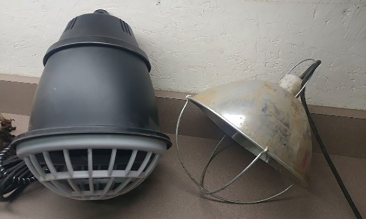 Heat lamps with protective cages around the warming bulbs.