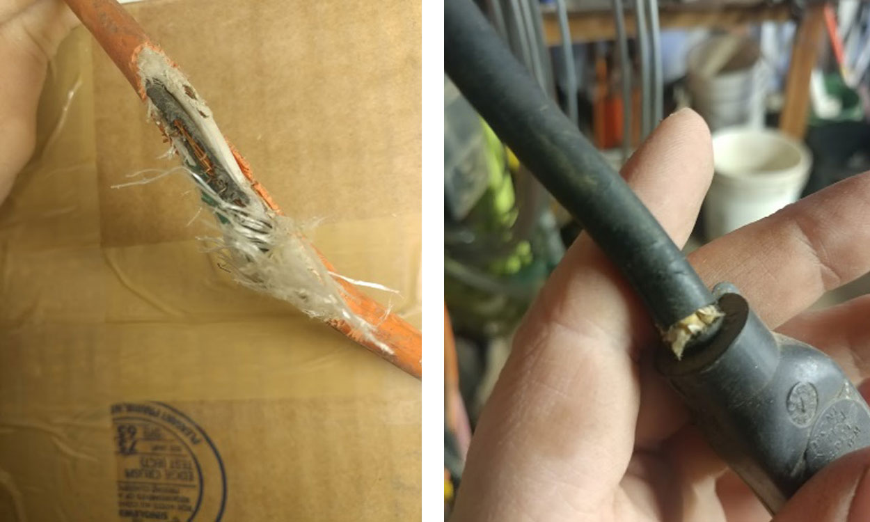 Two extension cords with damaged protective coatings, exposing the inside wires.