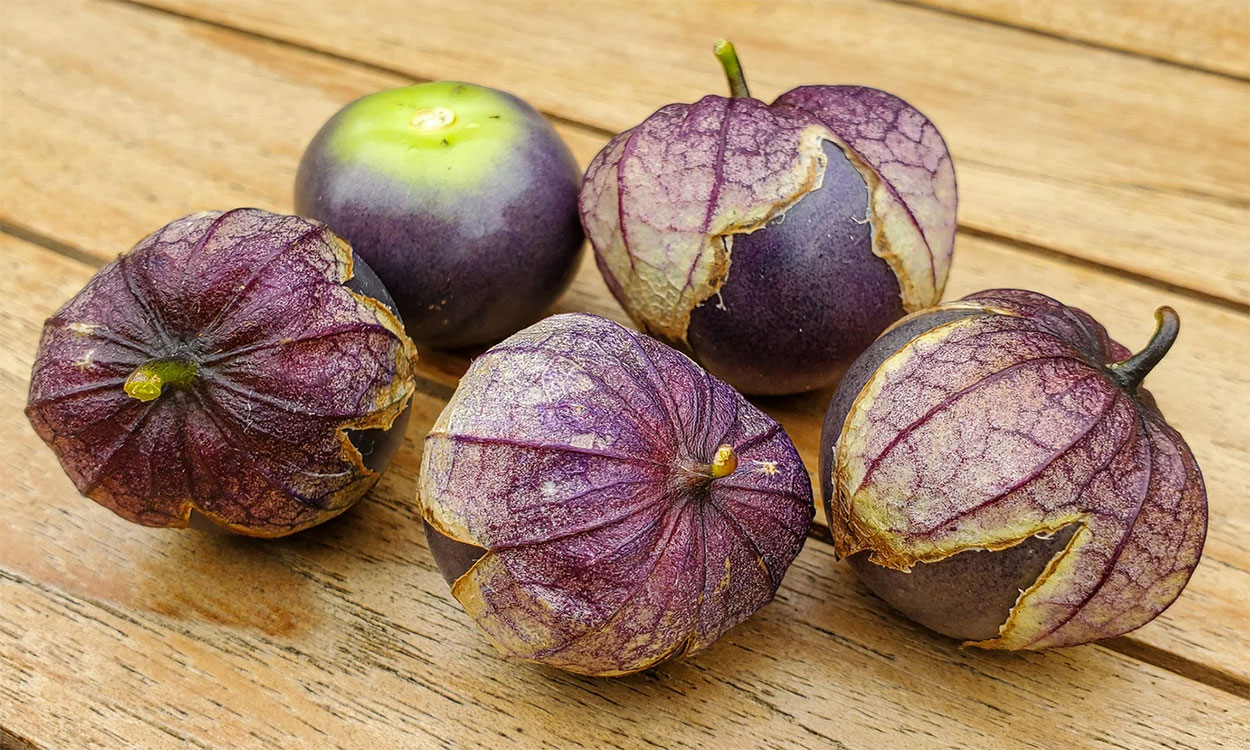 Purple tomatillos on a picnic table.