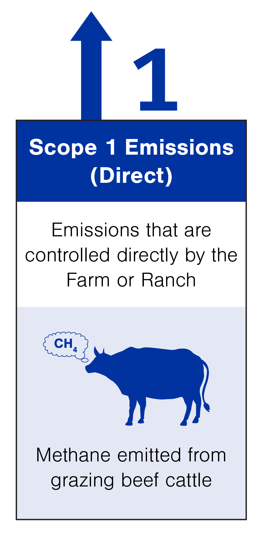 On a farm or ranch, Scope 1 emissions are direct emissions from the farm or ranch, including methane emitted from grazing beef cattle.