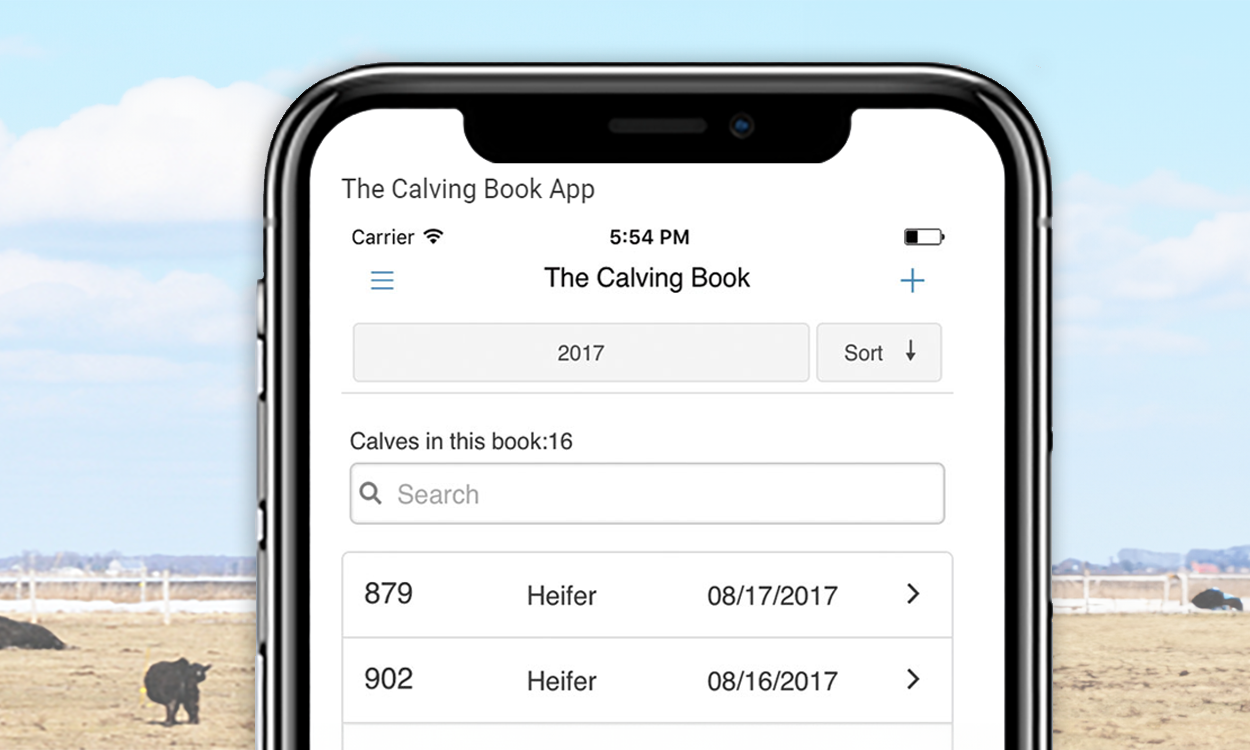 Example record book from 2017 that displays two heifer calves