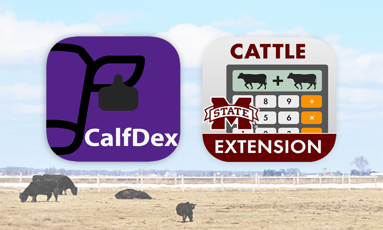 Mississippi State University and Kansas State University calving record apps that can be found on the app store on your smartphone