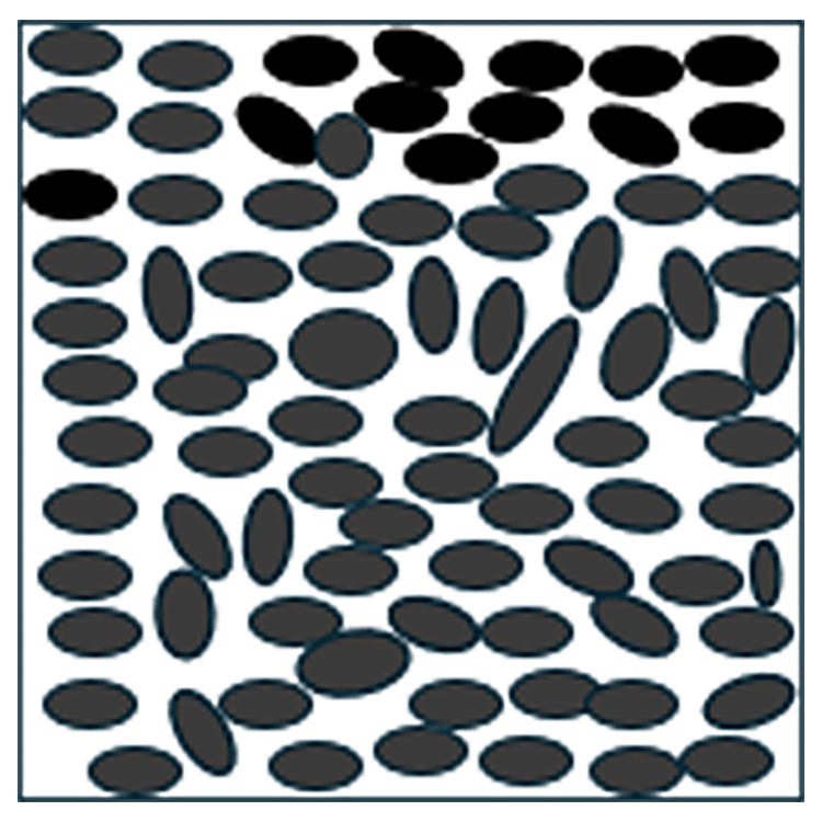 Several medium, oval silt particles in a black box. There is moderate space between the particles.