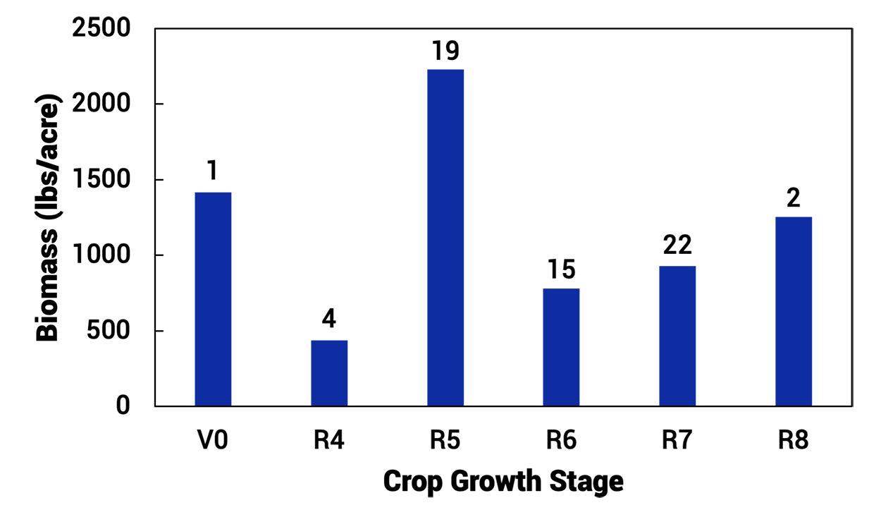 Bar graph showing average dry spring biomass production from cover crops that were inter-seeded into soybeans. For a detailed description, please call SDSU Extension at 605-688-4792.