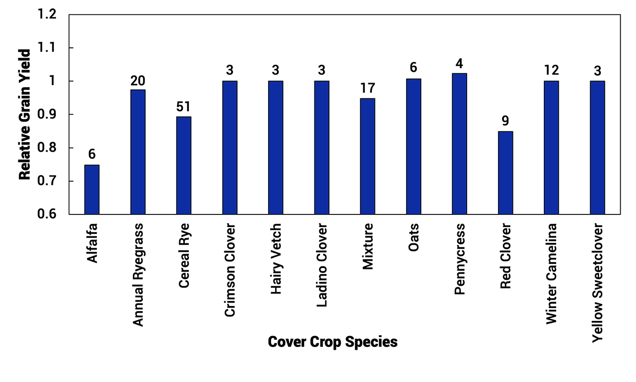 Bar graph showing the effect of different inter-seeded cover crop species on relative grain yield of soybean. For a detailed description, please call SDSU Extension at 605-688-4792.