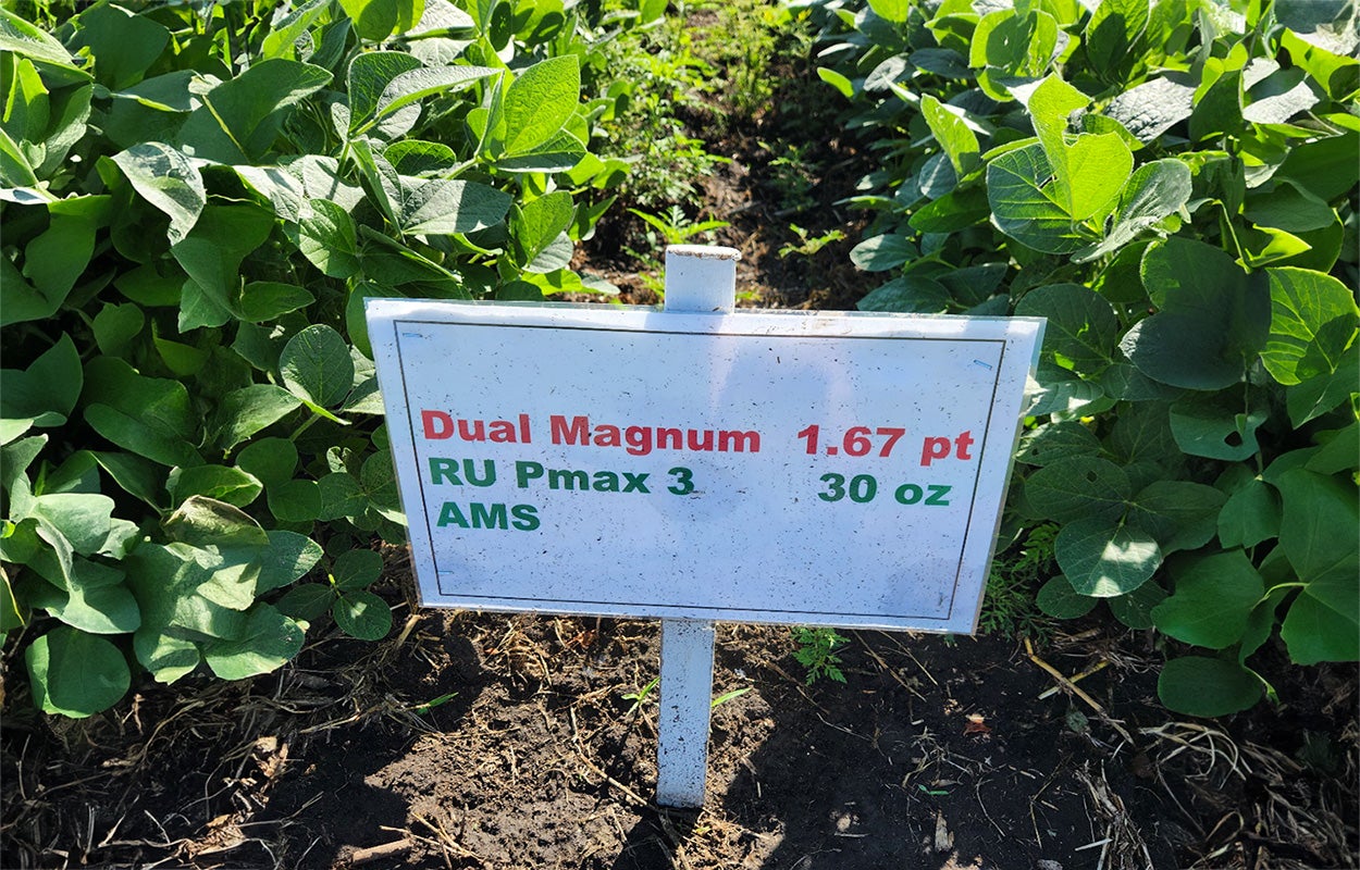 A sign on the edge of a soybean research plot denoting a simple herbicide program that was applied to the crops.