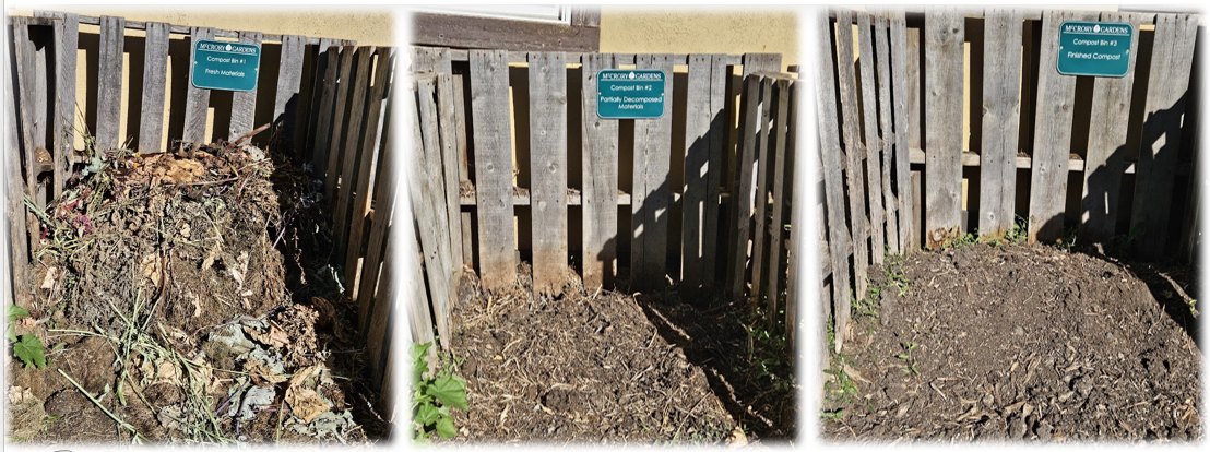 Three wooden pallet bins with soil and food scraps