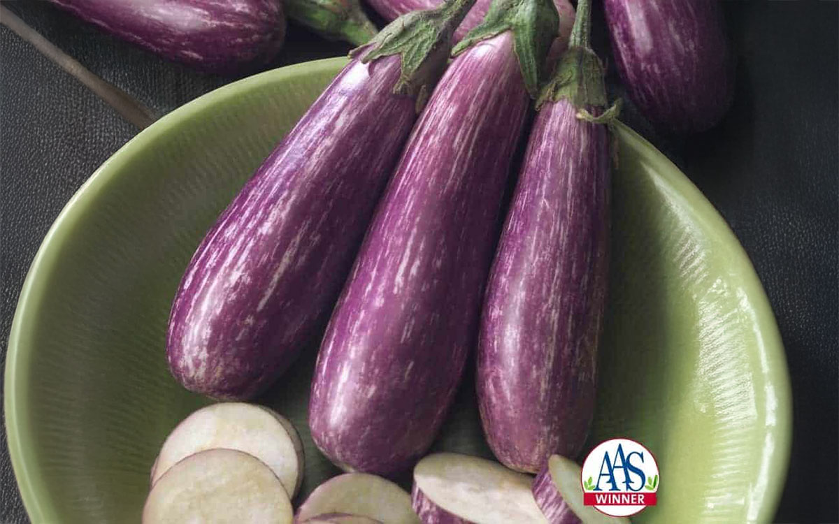 Fairy Tale eggplants arranged in a bowl.