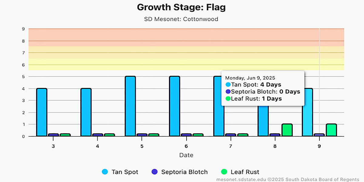 SD Mesonet Small Grains Tool leaf disease output graph. For a detailed description, please call SDSU Extension at 605-688-4792.