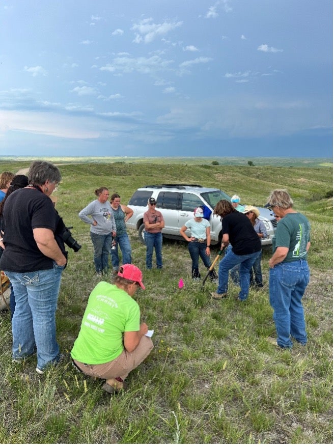 A group of people watch a woman dig up something in a pasture