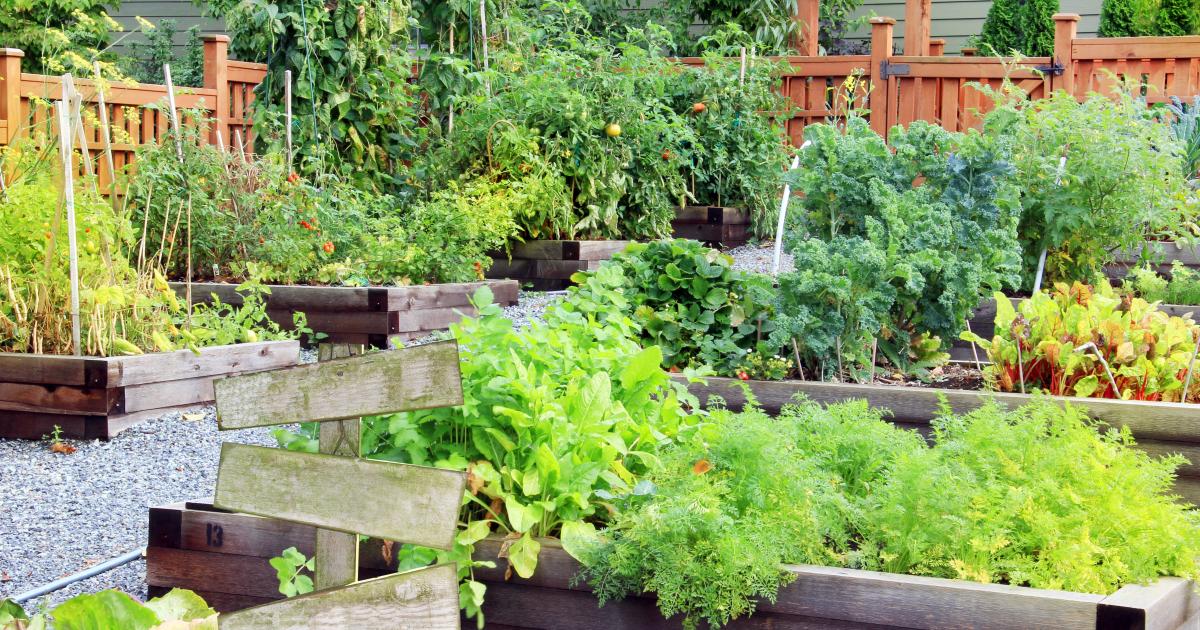 Garden & Yard