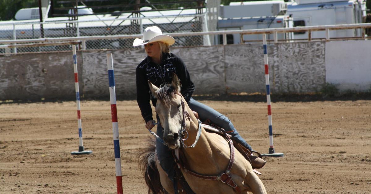 State 4-H Rodeo Resources