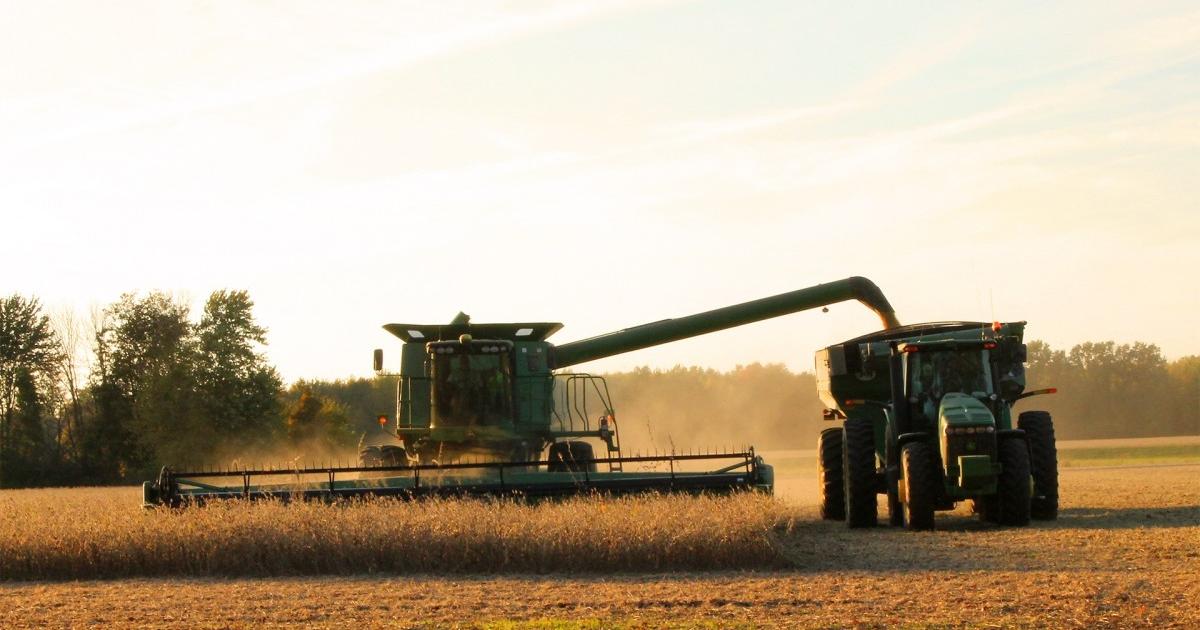 Harvesting For Maximum Soybean Yields