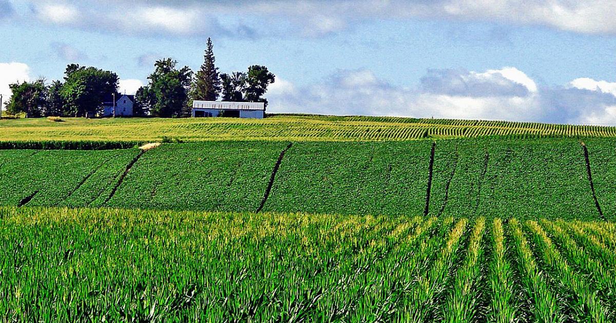 Crop Rotation in Farm Management