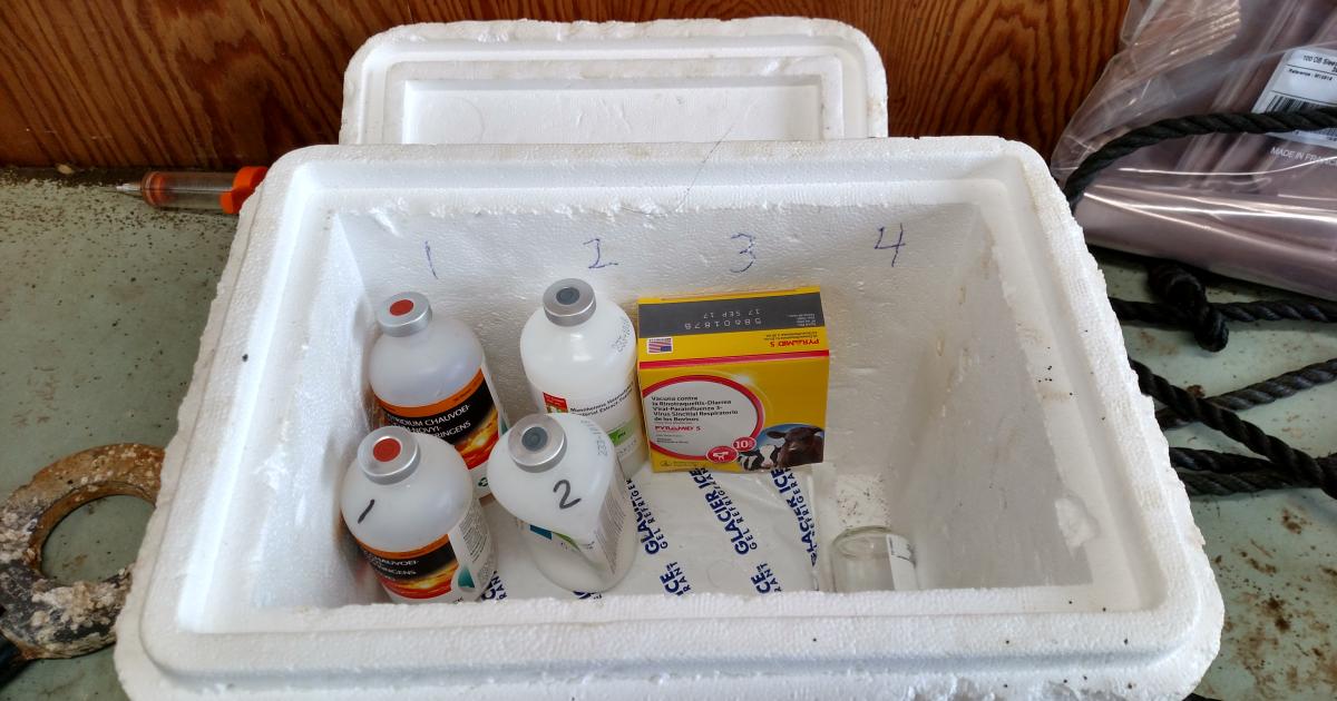 Keeping Your Vaccines Viable