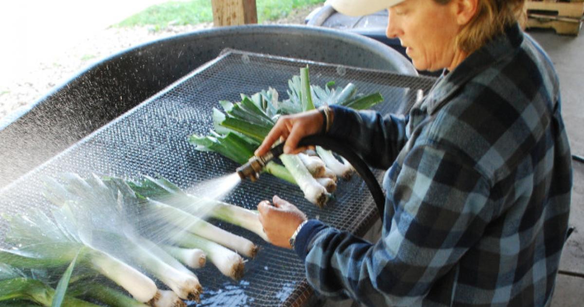 Food Safety Rules for Fruit & Vegetable Growers FAQ