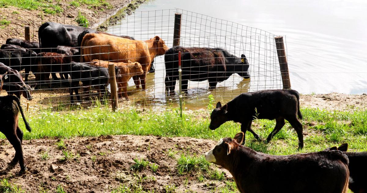 LowStress Weaning Methods