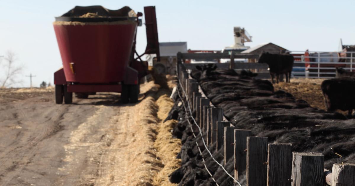 What Goes Into Calculating Yardage?