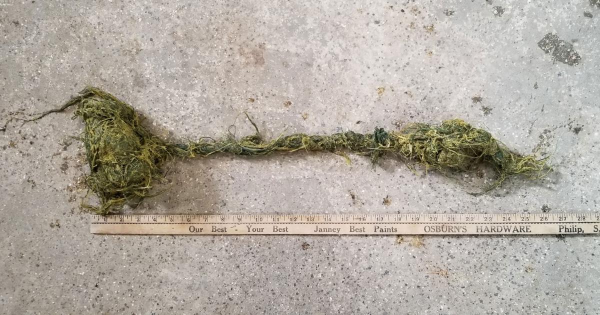 Summary of Forage Binding Survey and Current Net Wrap Research