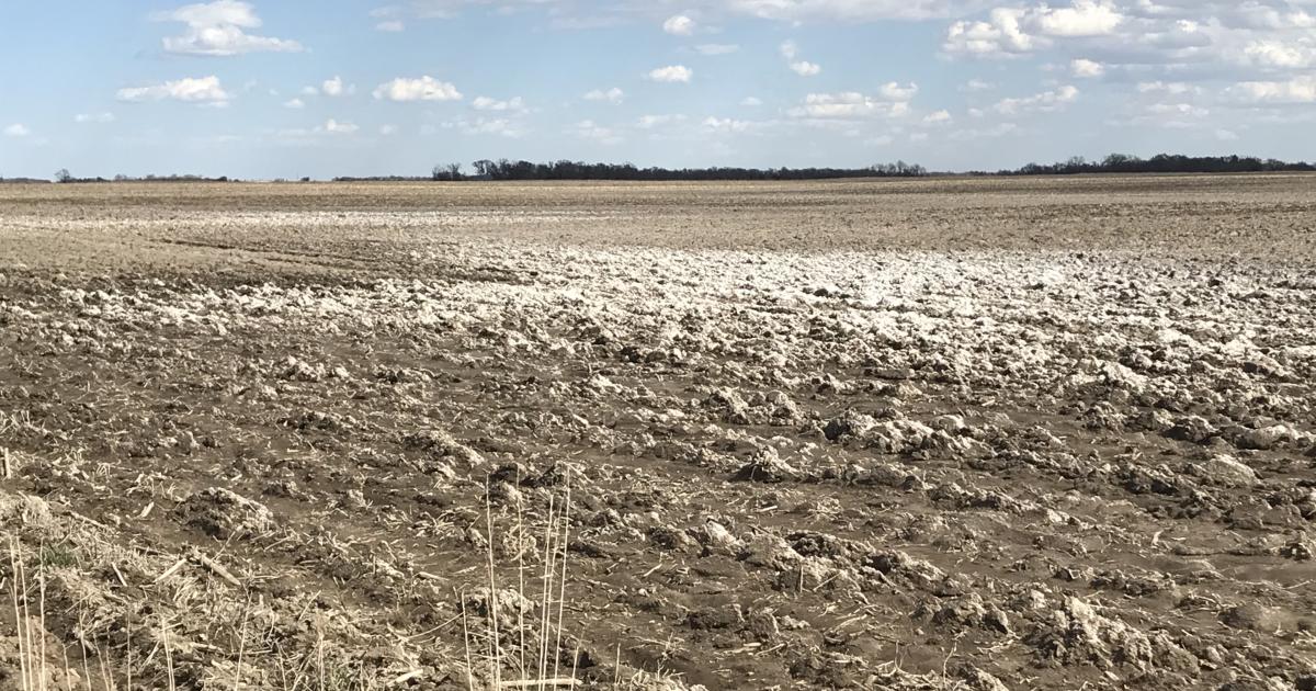 SDSU Extension Develops Perennial Plant Mixtures for Alkali Areas