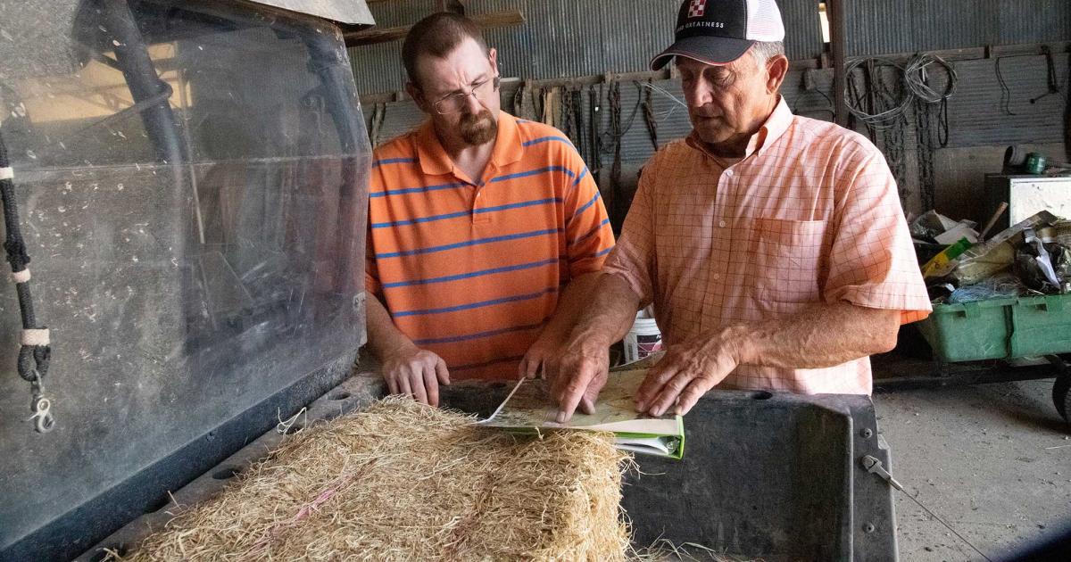 Livestock visual data 7