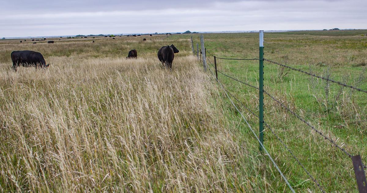 General Principals of Grazing Management