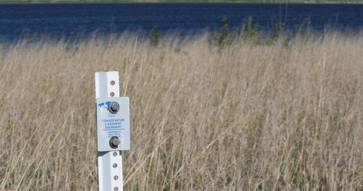 Understanding Conservation Easements Understanding Conservation Easements
