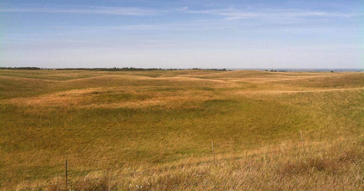 Grassland Management Do’s and Don’ts
